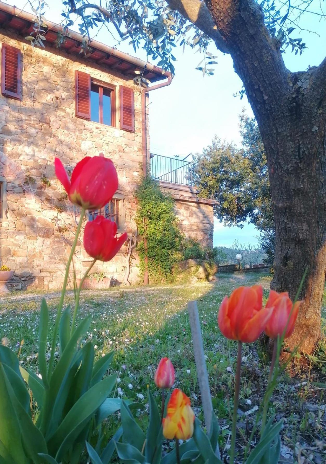 Casa Gioia Appartement Greve in Chianti Buitenkant foto